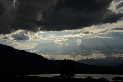 DSC_3290 (Large).JPG